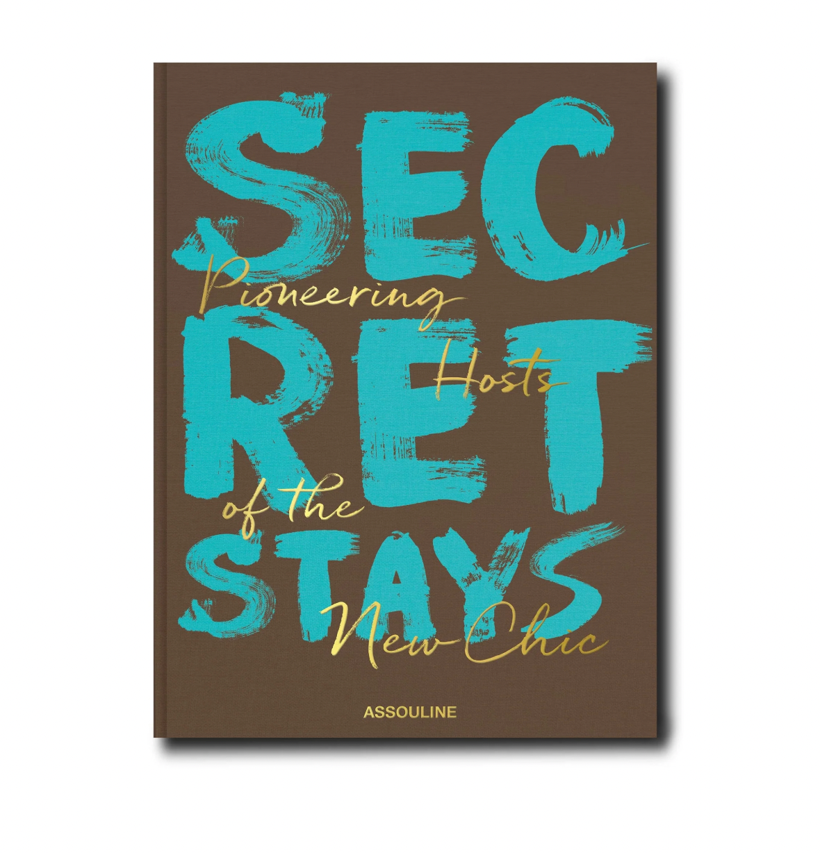 The cover of the book titled 'Secret Stays' with stylized text on a brown background.