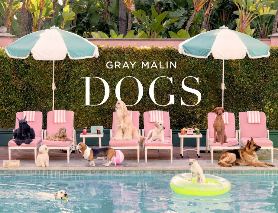 Promotional image for 'Gray Malin Dogs' with dogs around a pool and chairs.