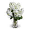 Silk Hydrangea Stem, White
