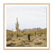 High Desert by Wesley and Emma Teague