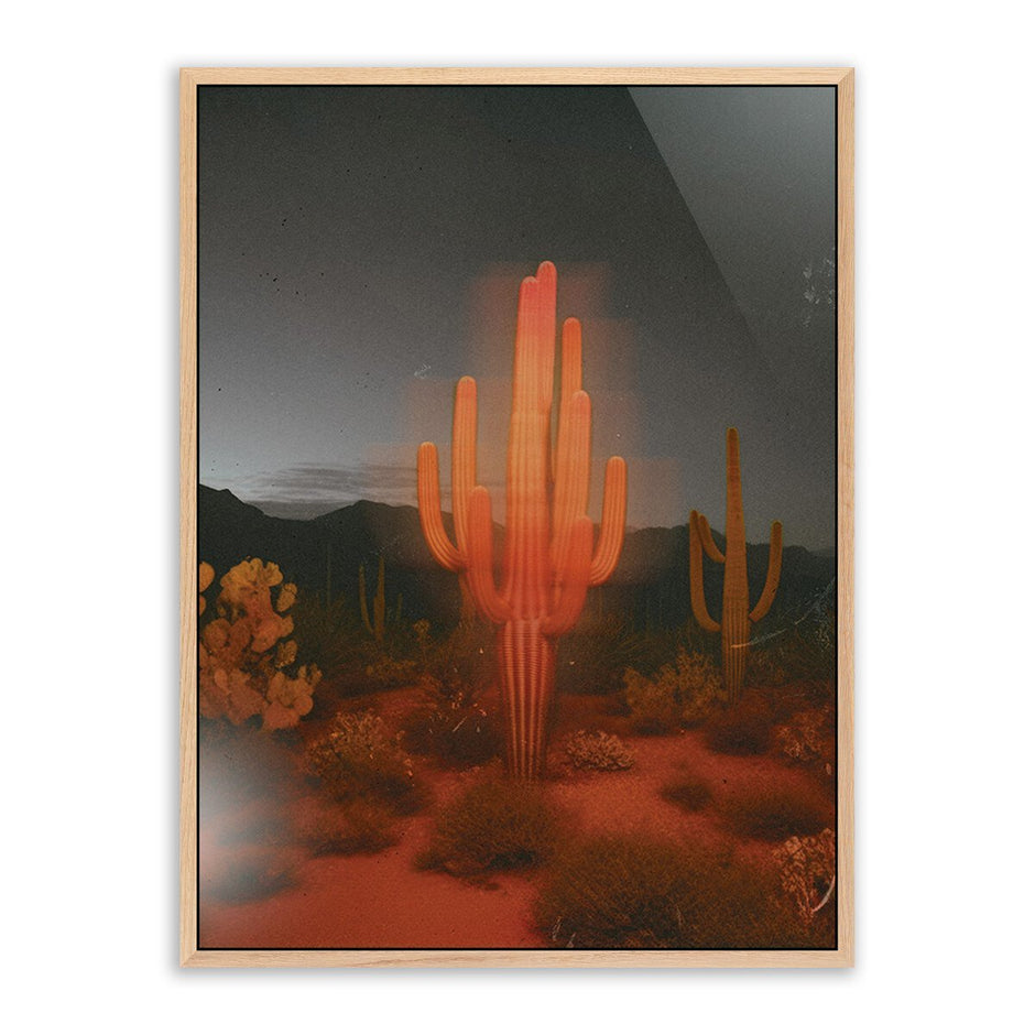Glowing Saguaro 30"x40"