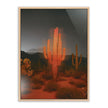 Glowing Saguaro 30