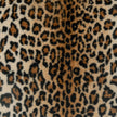 D.V. Kap Vixen fabric detail