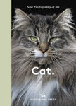 New Photography of the Cat