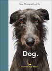 New Photography of the Dog