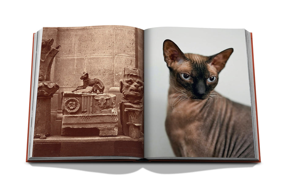 Assouline Chic Cats - Maaribu