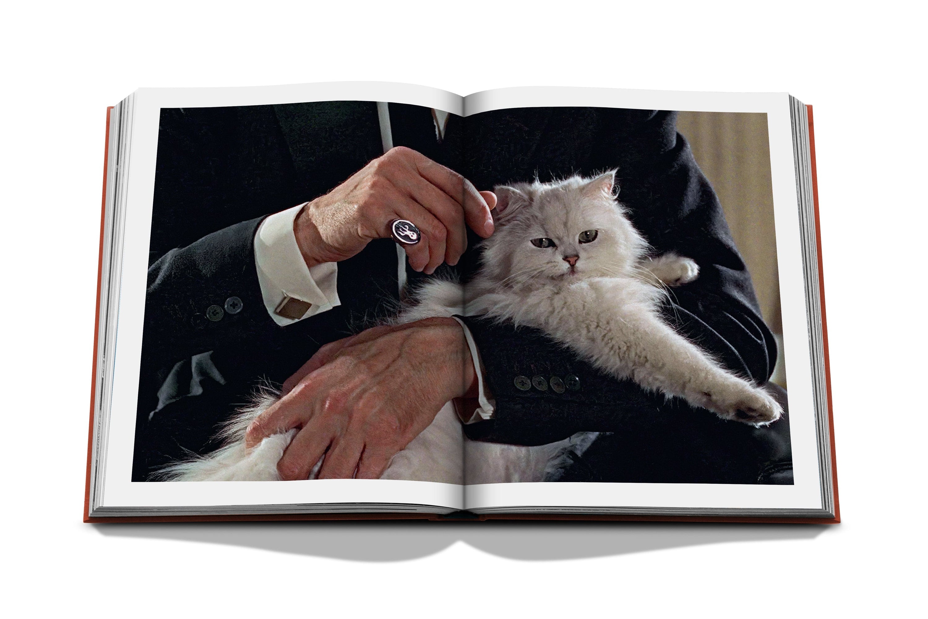 Assouline Chic Cats - Maaribu