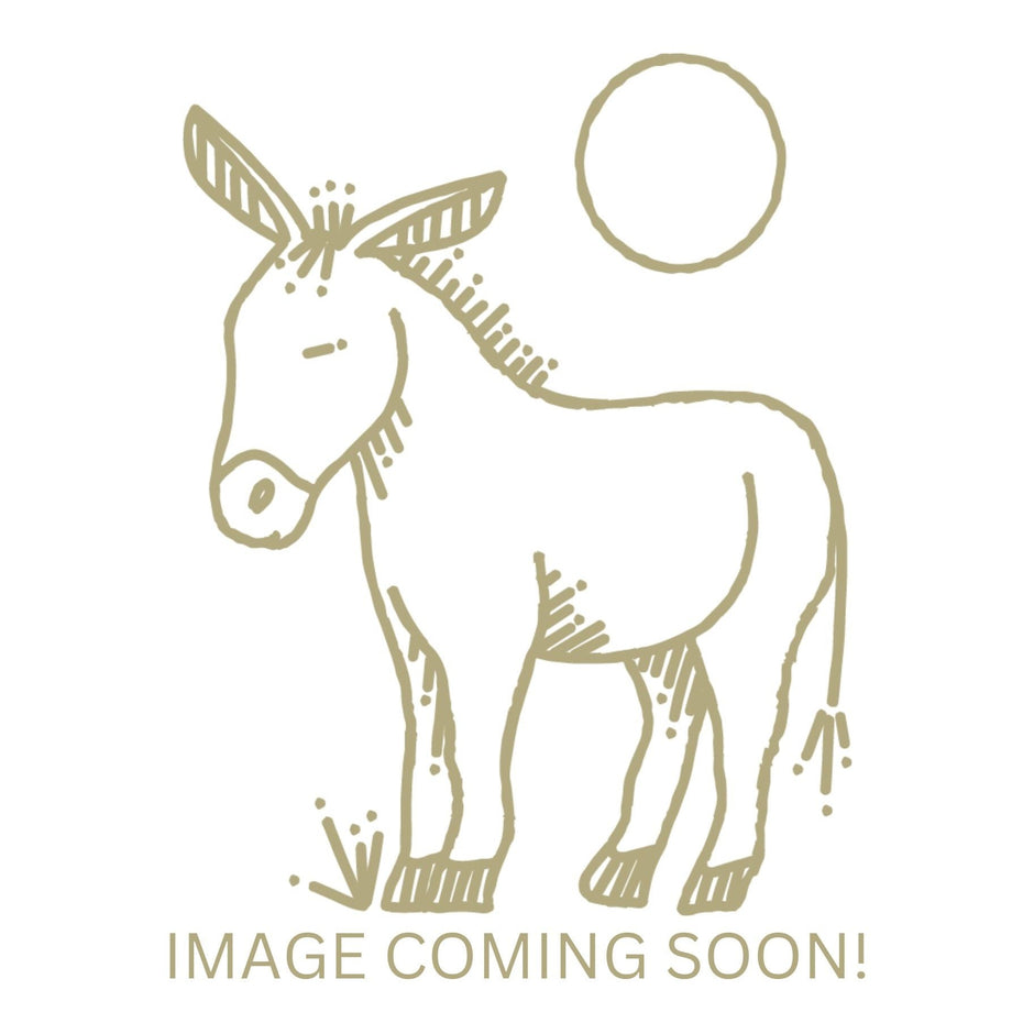 Luxury Tencel Sheet Set Ivory King