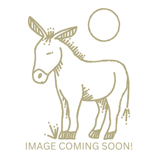 Luxury Tencel Sheet Set Ivory King