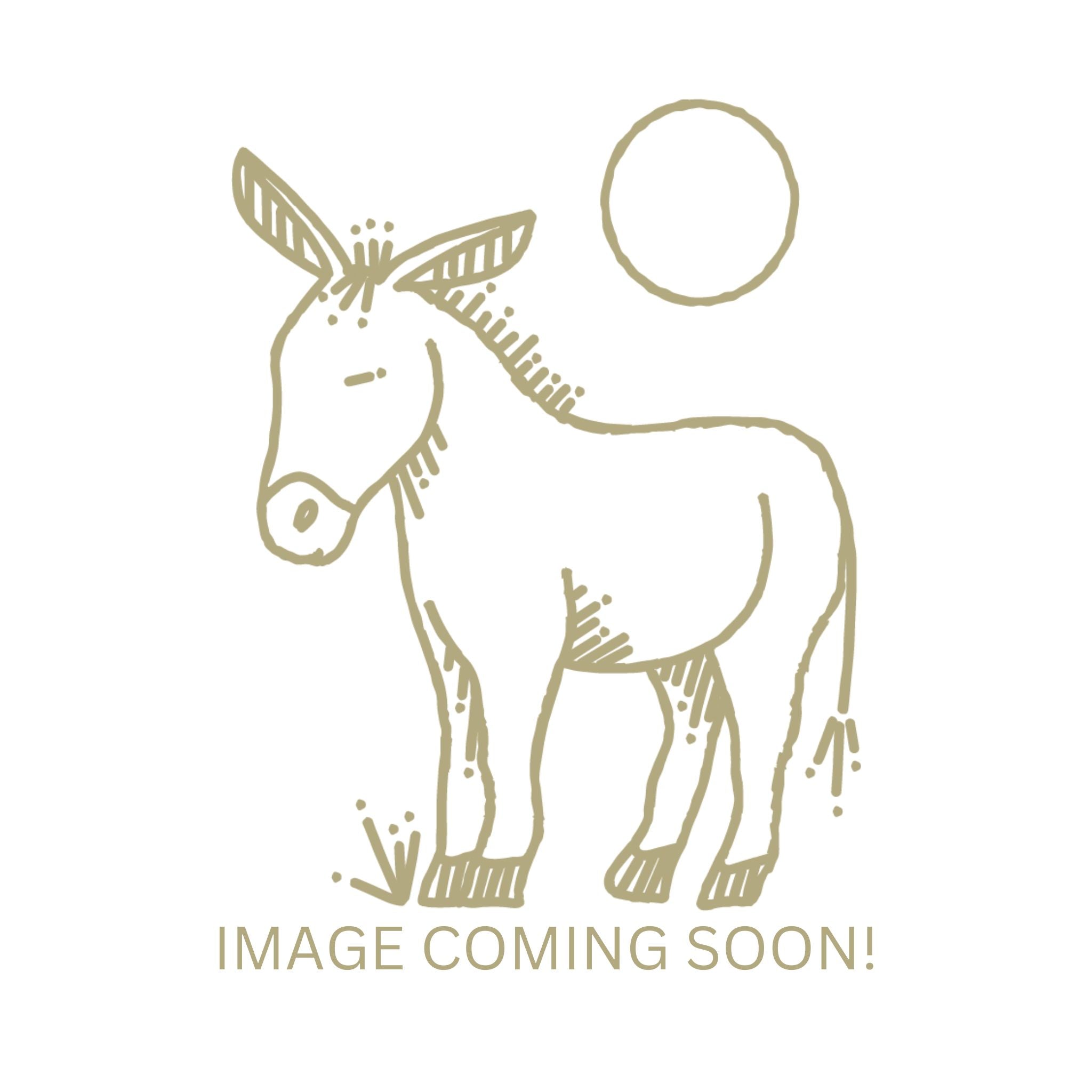 Blue and White Stoneware Ginger Jar w/ Lid