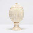A bone-made decorative object resembling a pinecone with vertical ribs, featuring a curved base and lid, placed on a pedestal.