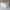 BN Essential Down Pillow Sham Insert Euro