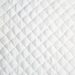 Silk Velvet Coverlet, Quilted with Satin Edge Winter White Queen