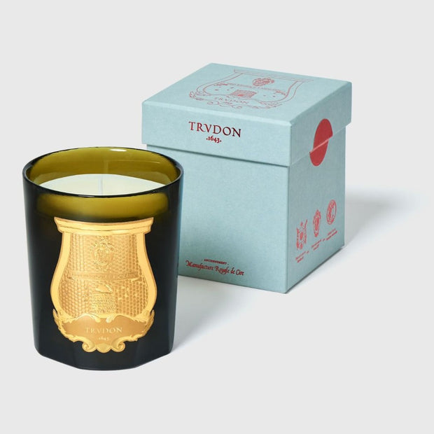 A Trudon brand scented candle with a gold design on the container, alongside its blue packaging box featuring the Trudon logo.