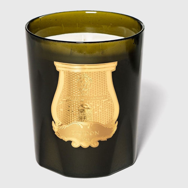 A green Trudon Grande candle with a gold sculptural design on the container, made of wax and housed in a workshop in Normandy, France.