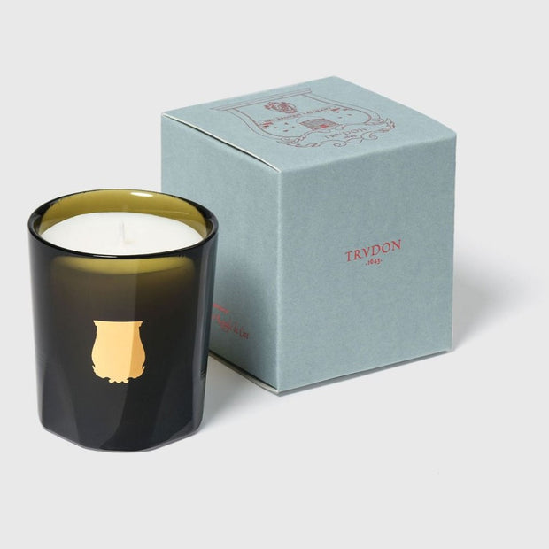 A Trudon La Petite Bougie candle in a black glass container with a gold design, accompanied by a light blue box with a printed design.