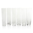 Flora Etched Champagne Flute