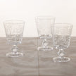 Etched All Purpose Goblet