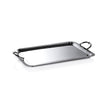 Manetta Polished Nickel Tray, Med