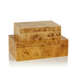 Leiden Burl Wood Box Small - Maaribu