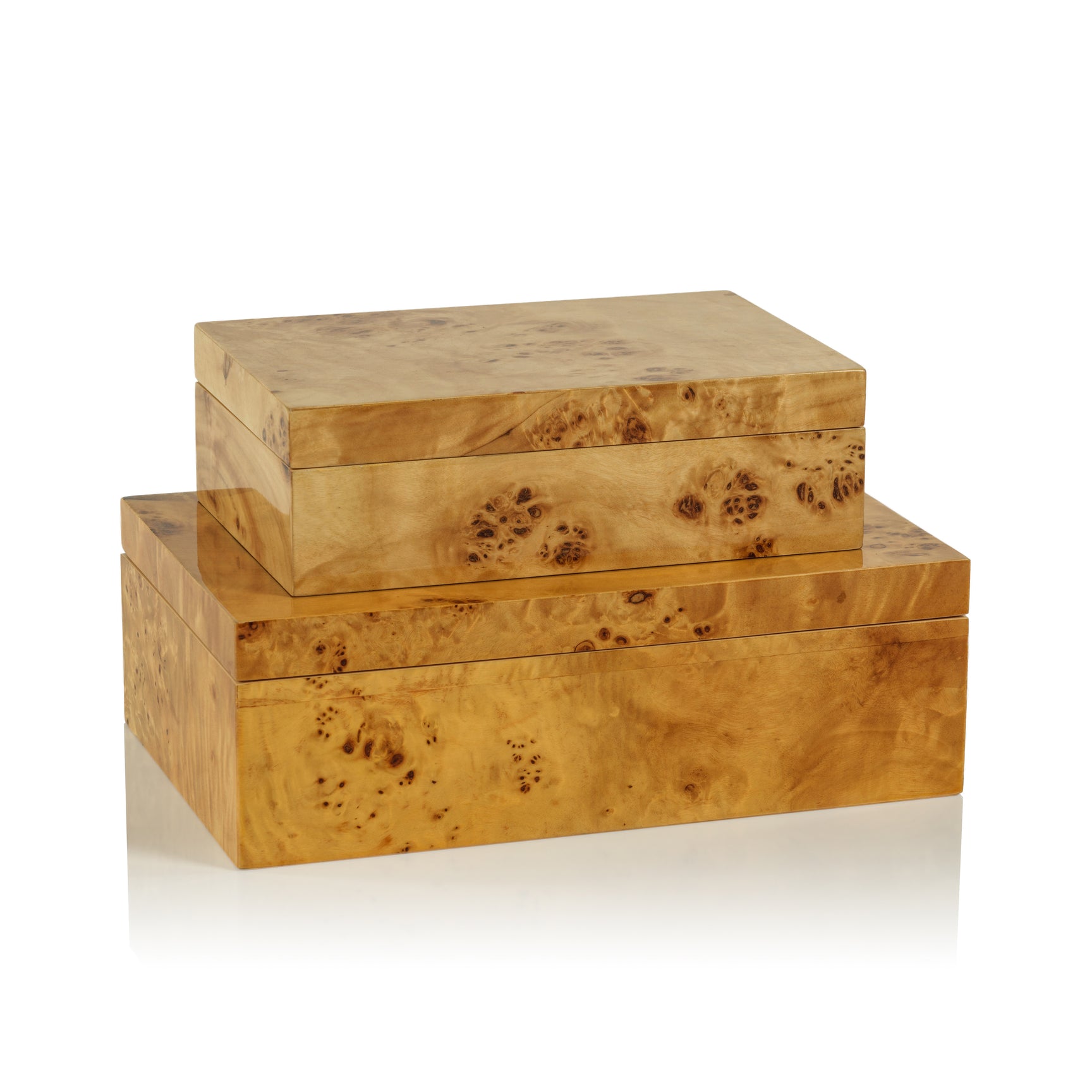 Leiden Burl Wood Box Small - Maaribu