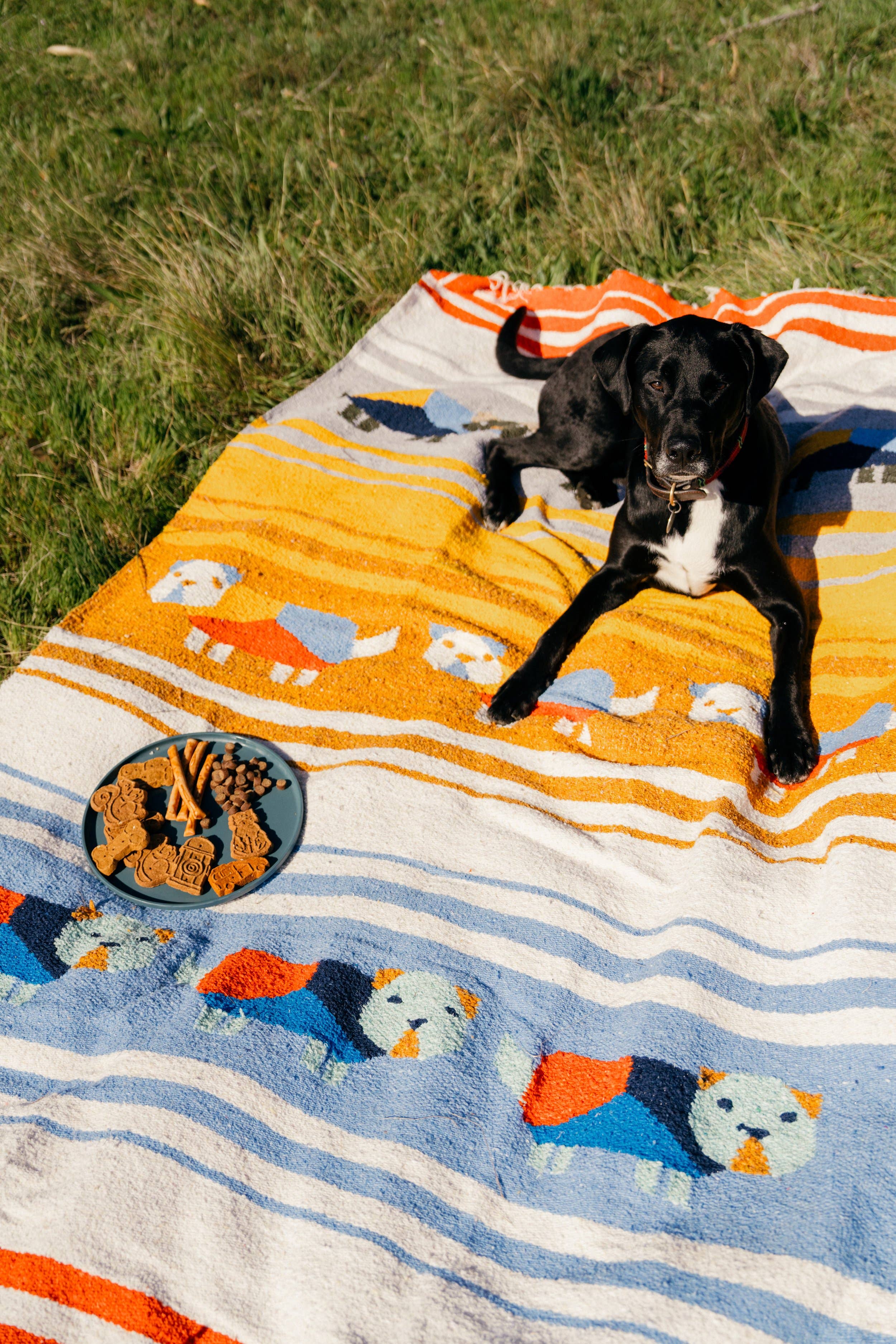 Perro Dorado - Blanket Roll - Maaribu