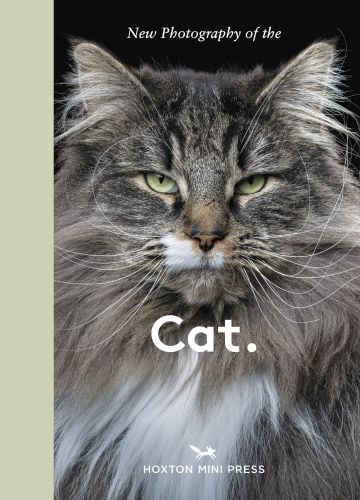 Decor book titled "New Photography of the Cat" by ACC Publishing featuring artistic images of cats.