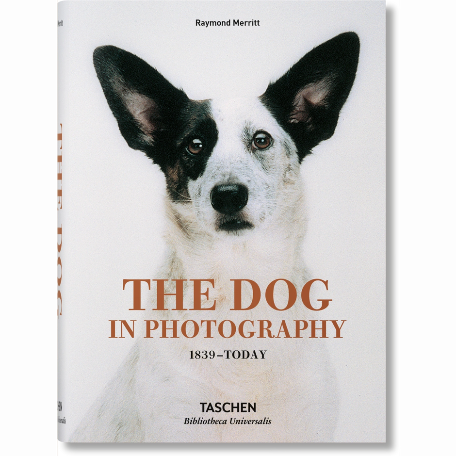 The Dog in Photography