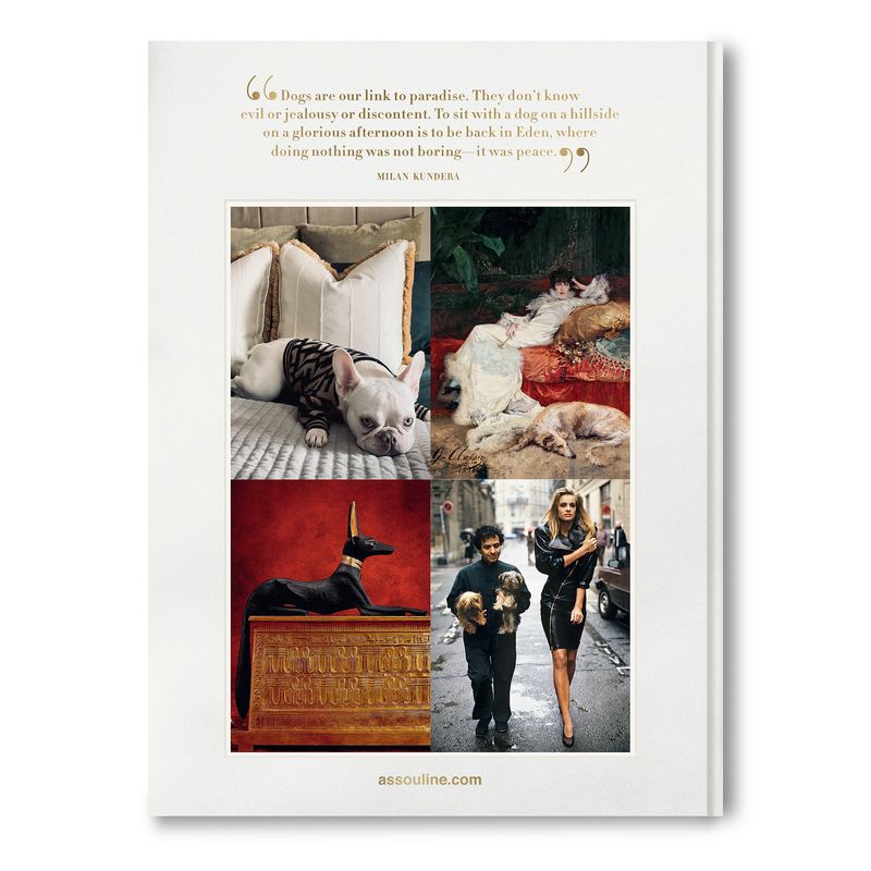 Assouline Chic Dogs decor book featuring stylish dog-themed interior design and fashion photography.