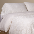 Bella Notte Allora Lace Pillowcase in Cenote, elegant king-size pillowcase with delicate lace details, soft and luxurious bedding accessory.