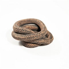 Ivory Black Wash Snake by BIDK, realistic snake sculpture with detailed black and ivory finish, textured surface and lifelike appearance