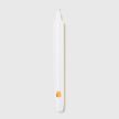 Trudon Madeleine Candles, Box of 6