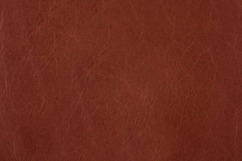 Cisco Cruz Dawson Rust Leather Bench with 72-inch width, 16-inch depth, and 19-inch height, featuring a stylish leather upholstery.