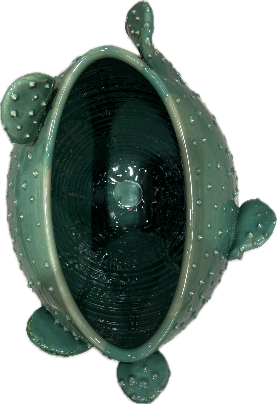 Green Apulian ceramic cactus vase by Enza Fasano, featuring a detailed cactus design and smooth ceramic finish.