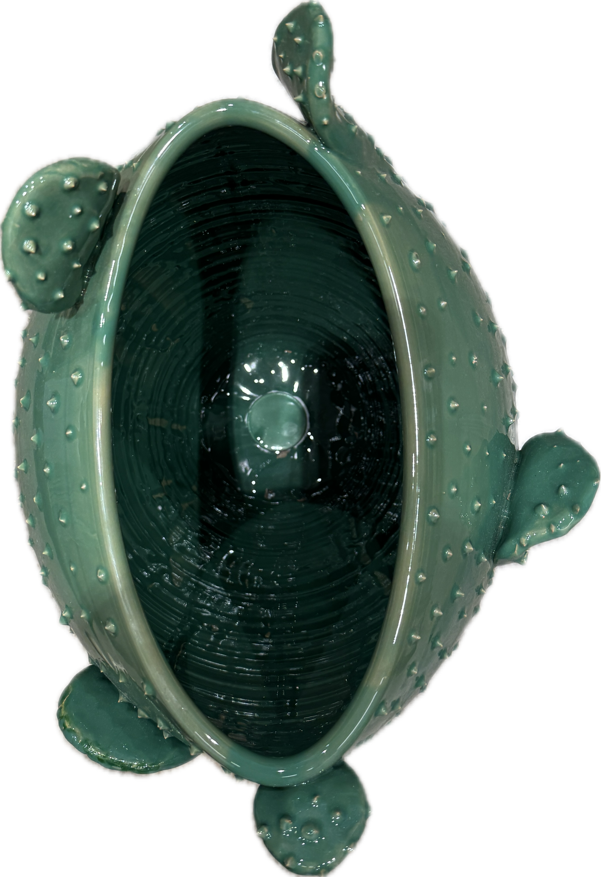 Green Apulian ceramic cactus vase by Enza Fasano, featuring a detailed cactus design and smooth ceramic finish.