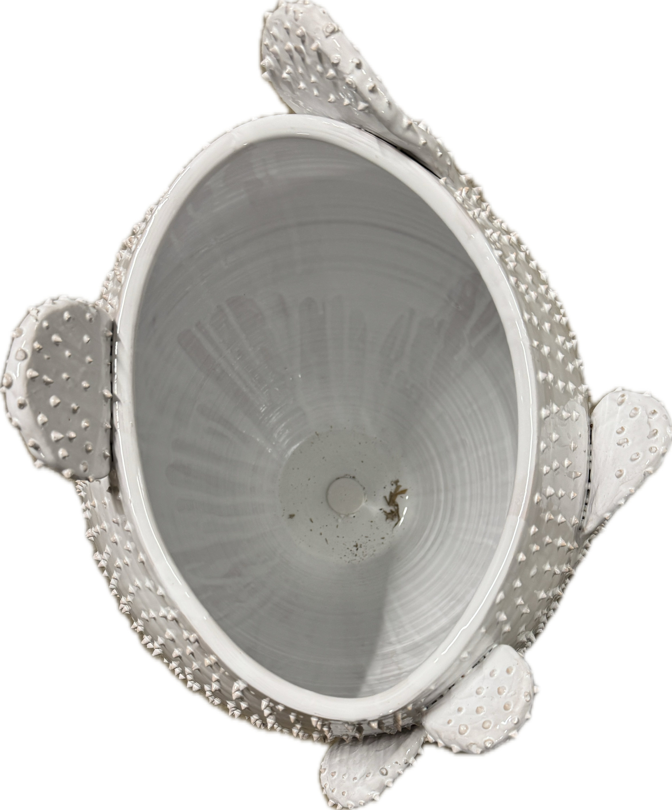 White Apulian Ceramic Cactus Vase by Enza Fasano shown with a textured cactus design and smooth white finish.