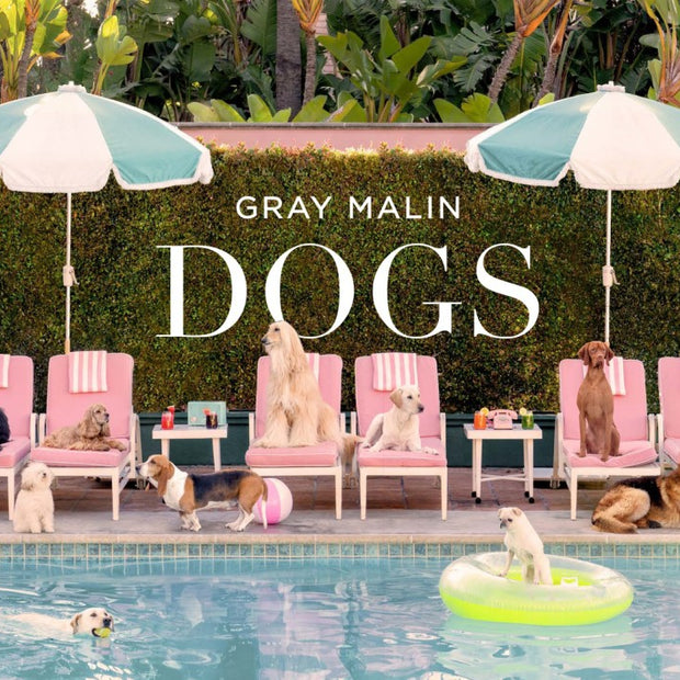 Promotional image for 'Gray Malin Dogs' with dogs around a pool and chairs.
