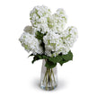Faux silk hydrangea flower stem from New Growth Designs, realistic botanicals for floral arrangements and home decor.