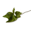 Faux silk hydrangea leaf stem from New Growth Designs, realistic botanical stem for floral arrangements and home décor.