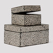 Albus Capiz Shell Box Set/2