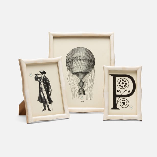 Oslo Bone Frame