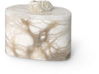 Large Palecek Celine Alabaster Vase, elegant ceramic vessel with smooth, rounded design and subtle textured finish.
