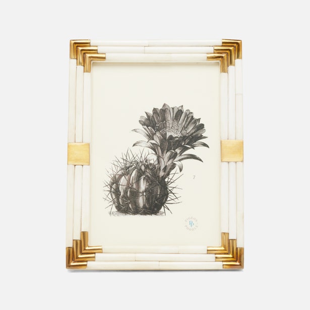 Pigeon & Poodle Sofia photo frame holding a 4x6 inch picture, made of stylish material with a decorative border.