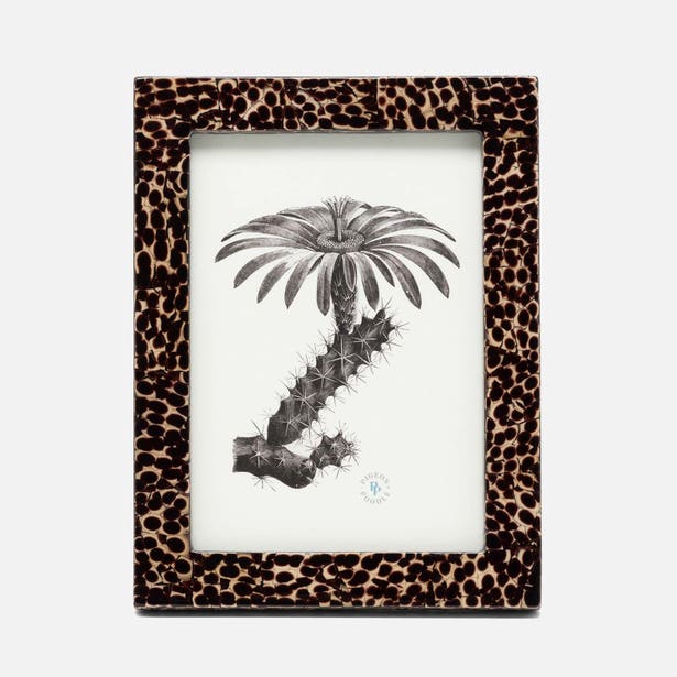 Deep bronze Pigeon & Poodle Westport frame in 5x7 size, showcasing a stylish decorative picture frame.