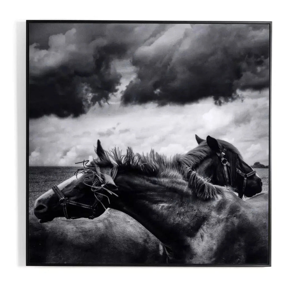 Horses Pair Wall Art
