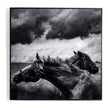 Horses Pair Wall Art