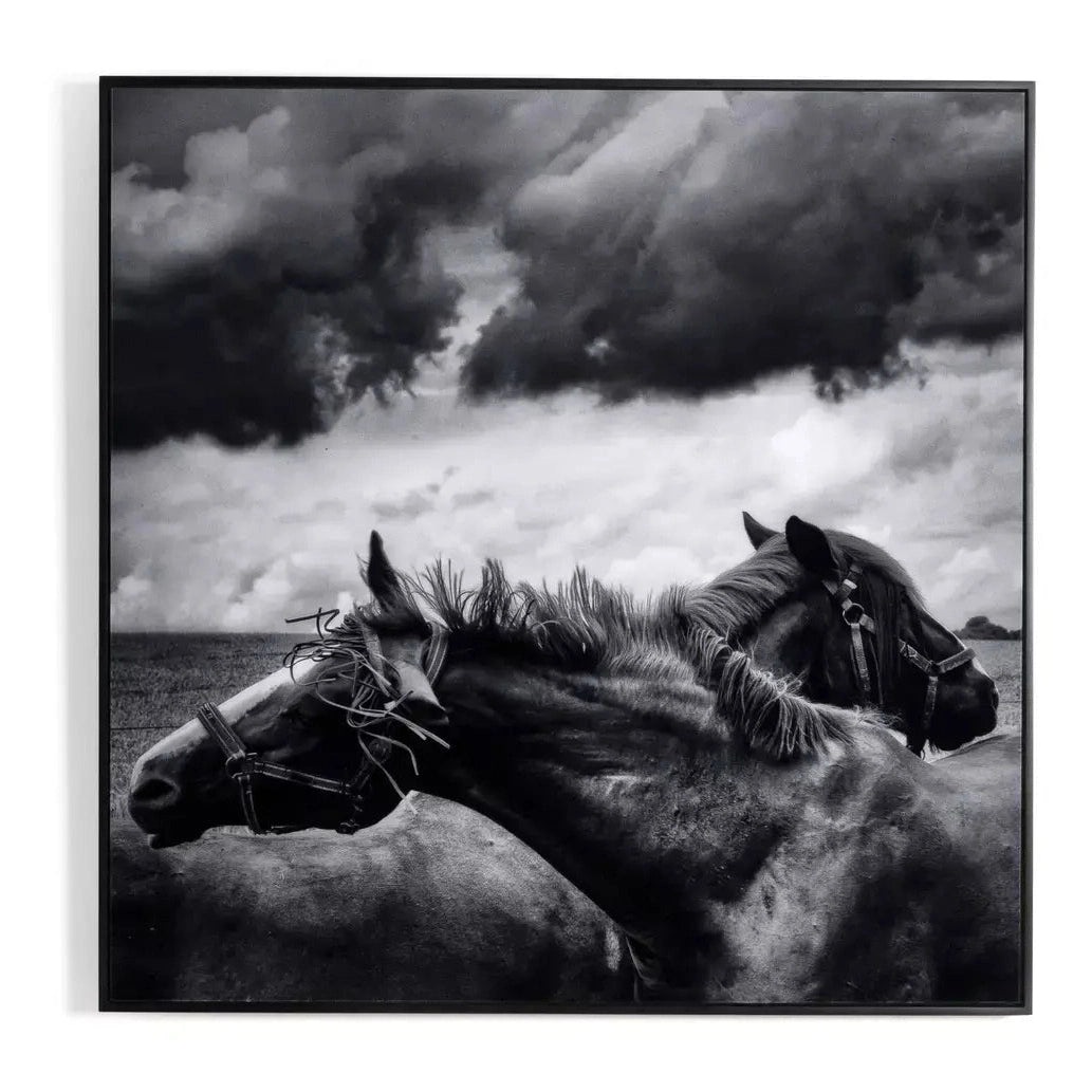 Horses Pair Wall Art