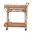 Handwoven Rattan 2-Tier Bar Cart - Maaribu