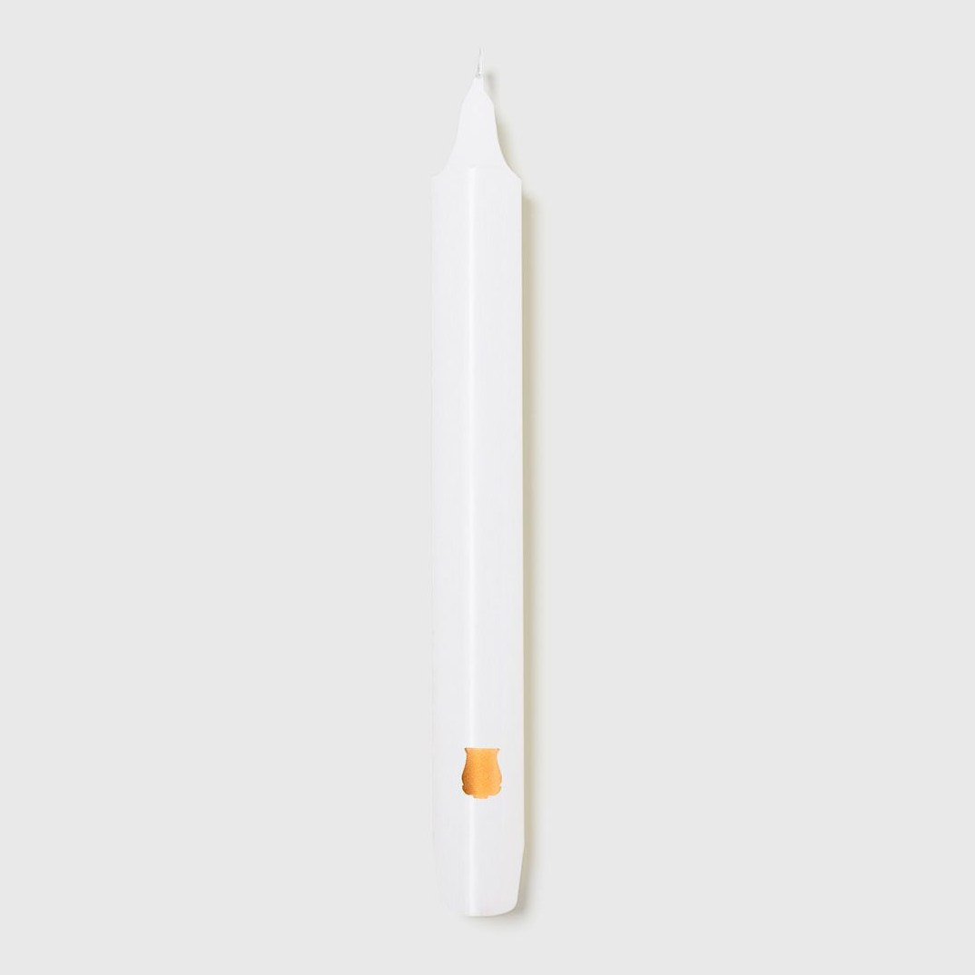 Set of six Trudon Madeleine taper candles in aqua color, elegant candle display with slender, tapered design, perfect for ambiance.