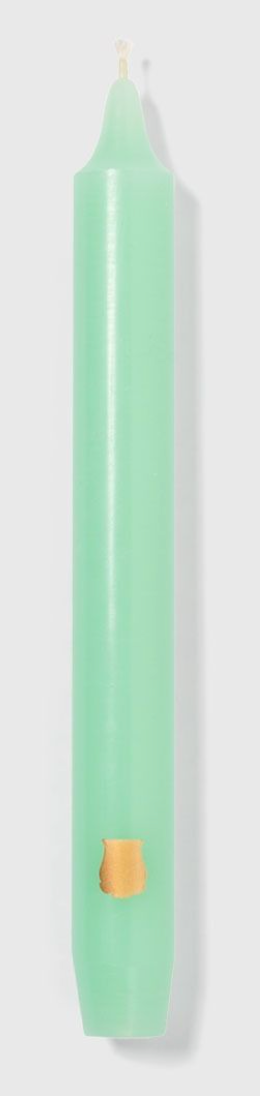 Six aqua-colored Trudon Madeleine taper candles in a box, elegant and classic for decorative or ambient lighting.